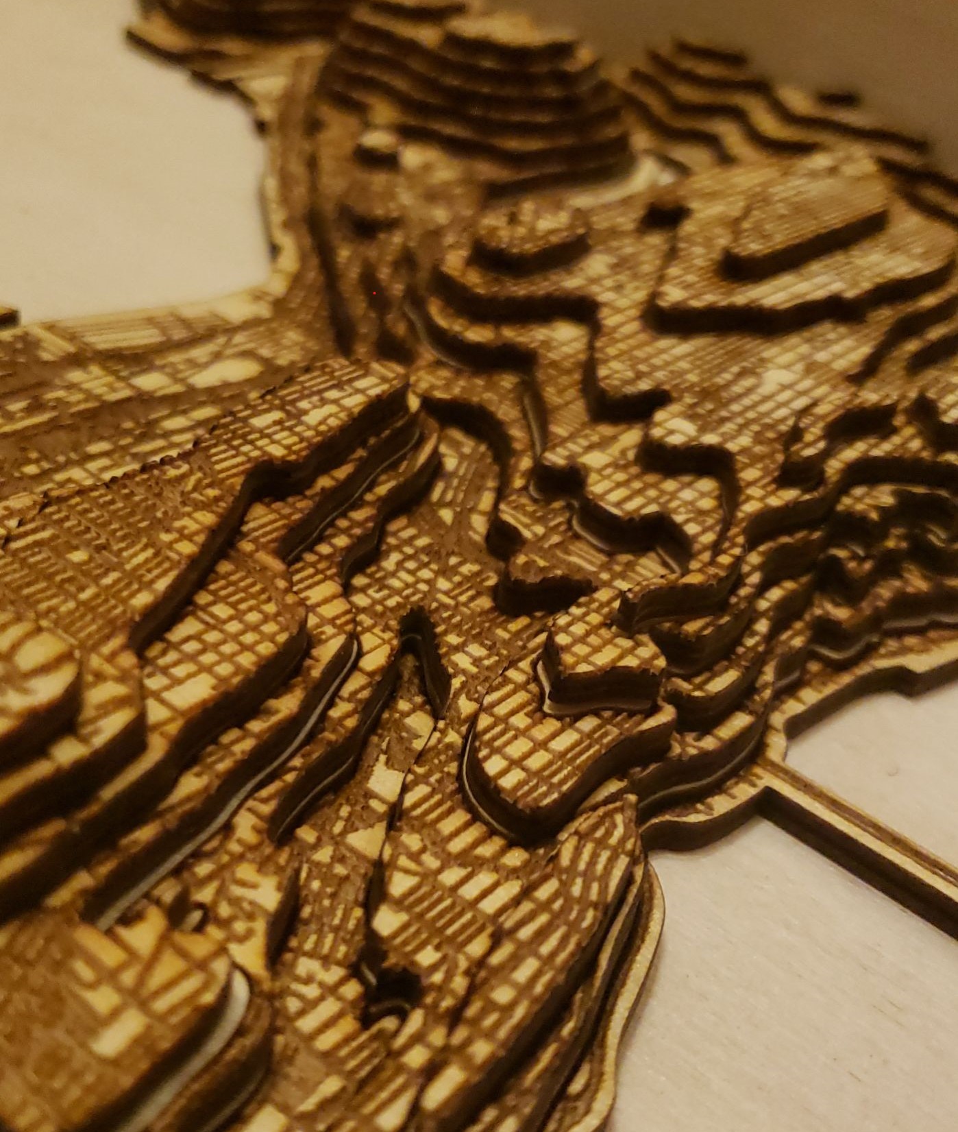 Angled View of Laser Cut Map